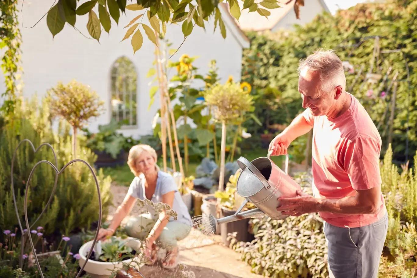 Ein Ehepaar macht gemeinsam Gartenarbeit. Der Mann gießt und die Frau arbeitet am Beet. Sie pflegen ihren Garten.