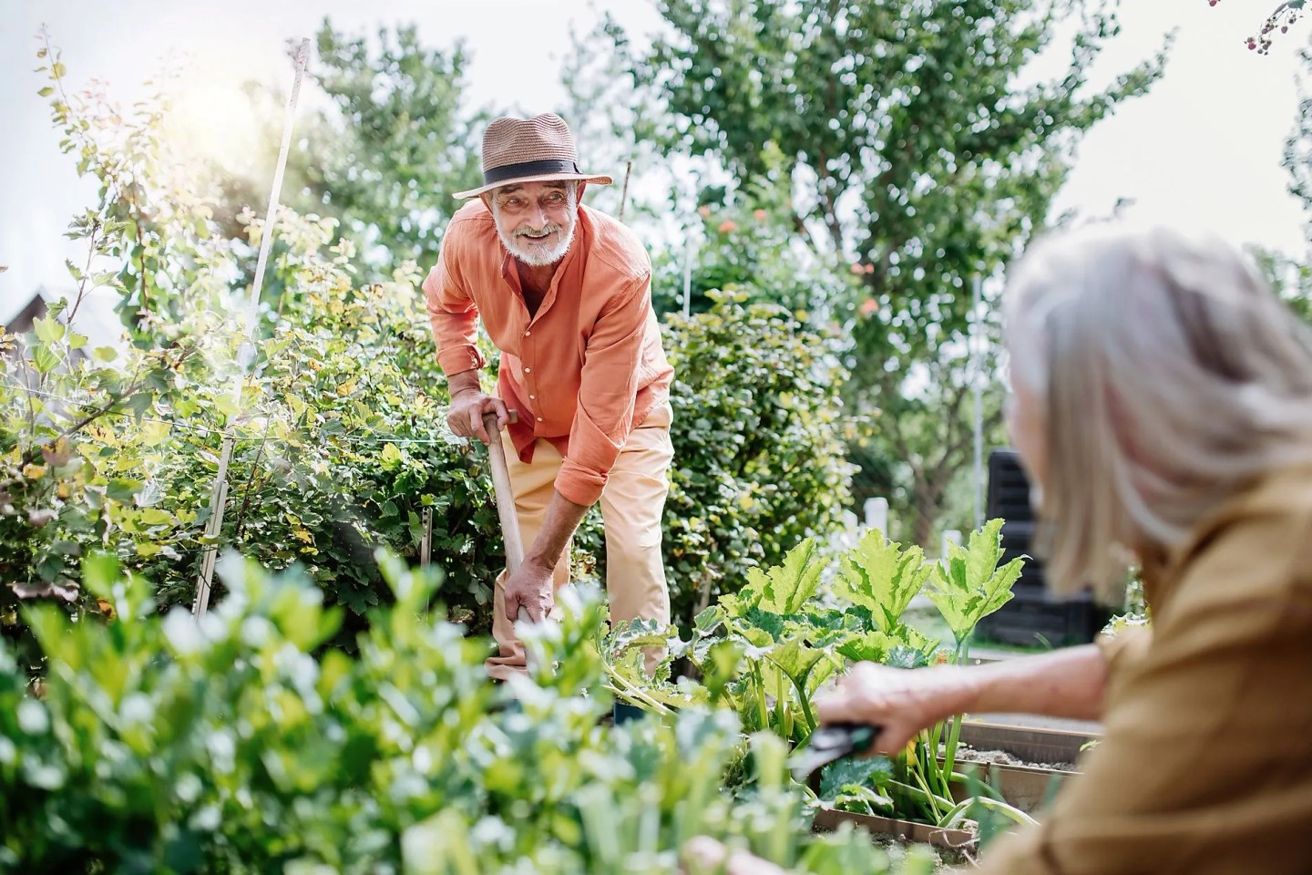 Ein Ehepaar arbeitet gemeinsam im Garten. Sie bereiten den Garten auf den Sommer vor.