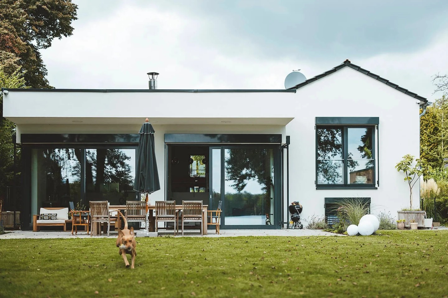 Ein modernes Haus mit einem grünen Rasen davor. Ein Hund läuft herum.